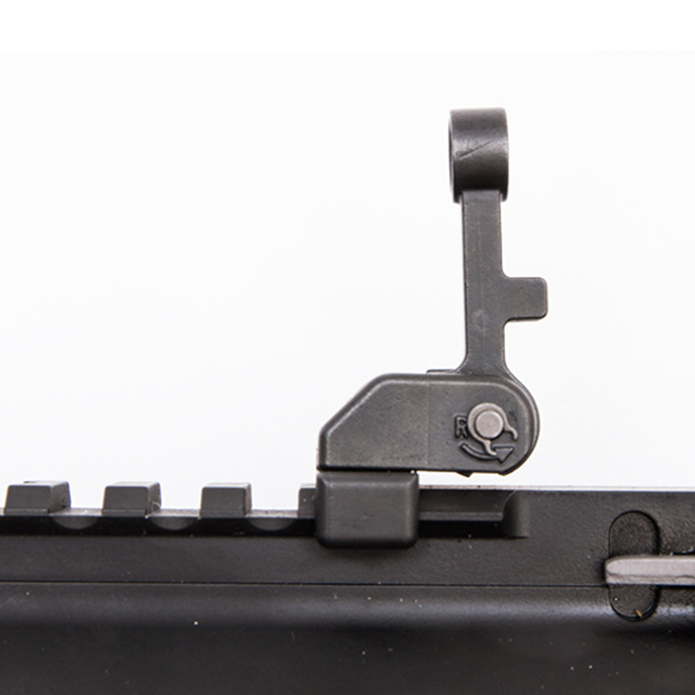 Modular BUIS Set (Front & Rear)